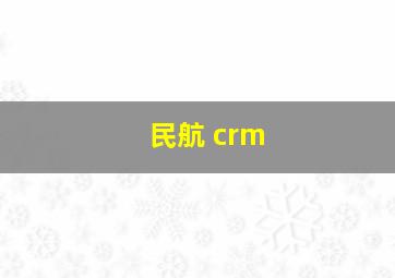 民航 crm